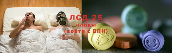 молекула духа Новозыбков