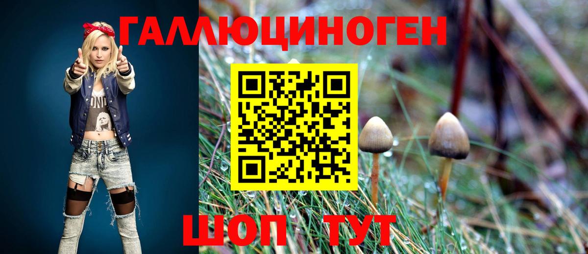 Псилоцибиновые грибы Magic Shrooms  Вход с VPN  купить наркотик  Керчь 